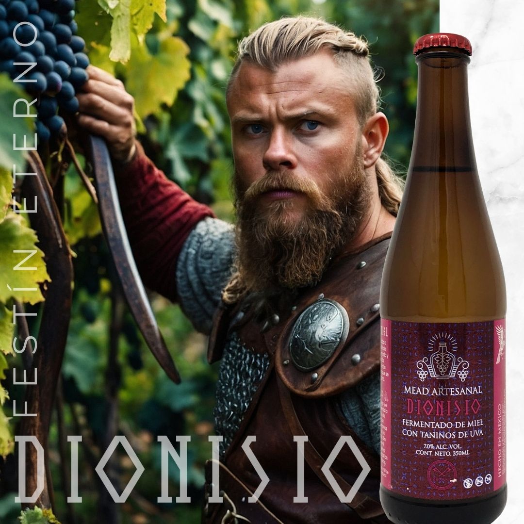 Paquete Botellas Hidromiel Dionisio