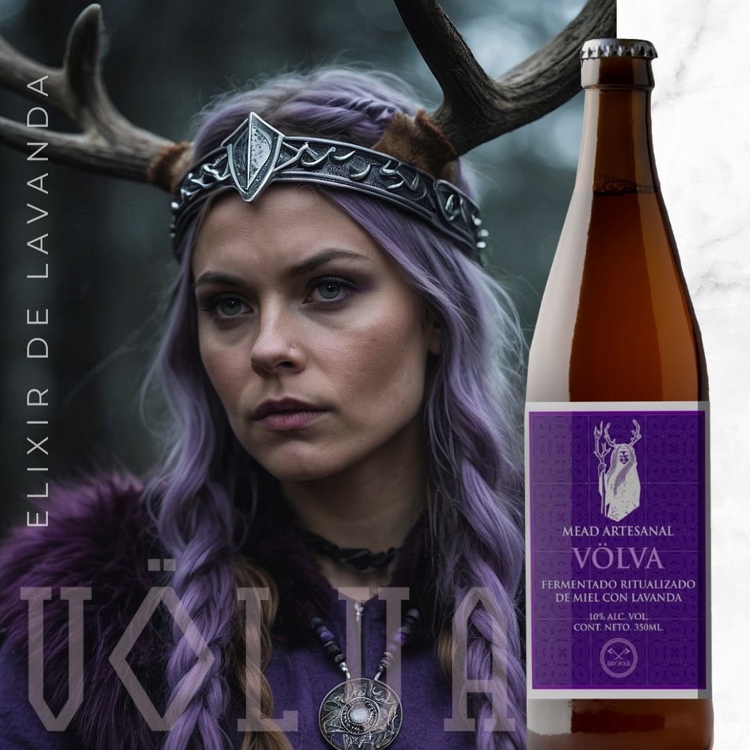 Paquete Botellas Hidromiel Volva